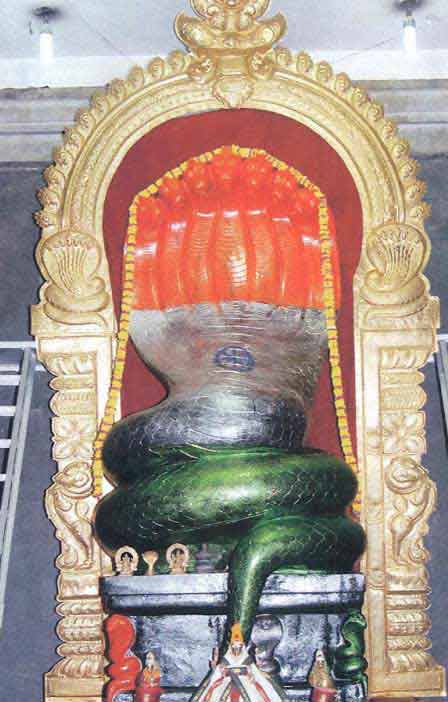 Navaratri Celebrations at Vishnu Murthy Naga Temple